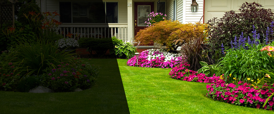 Olympia Fields Landscapers